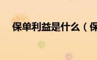 保单利益是什么（保单利益是什么意思）