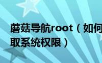 蘑菇导航root（如何利用蘑菇云一键Root获取系统权限）