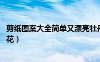 剪纸图案大全简单又漂亮牡丹花（剪纸图案大全---简单的小花）