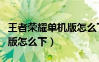 王者荣耀单机版怎么下载教程（王者荣耀单机版怎么下）