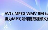 AVI（MPEG WMV RM to MP3 Converter(音频视频转换为MP3)如何提取视频文件中的音频）