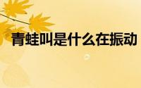 青蛙叫是什么在振动（青蛙叫是什么原因）
