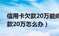 信用卡欠款20万能向银行贷款吗（信用卡欠款20万怎么办）