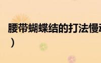 腰带蝴蝶结的打法慢动作（腰带蝴蝶结的打法）