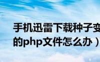 手机迅雷下载种子变成php（bt用迅雷下载的php文件怎么办）