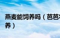燕麦能饲养吗（芭芭农场燕麦是否可以用来饲养）
