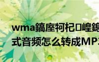 wma鎬庢牱杞崲鎴恗p3鏍煎紡（WMA格式音频怎么转成MP3格式）