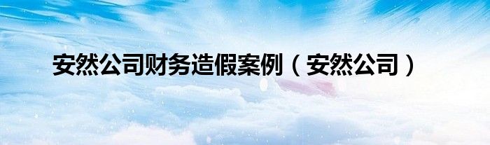 安然公司财务造假案例（安然公司）