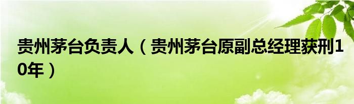 贵州茅台负责人（贵州茅台原副总经理获刑10年）