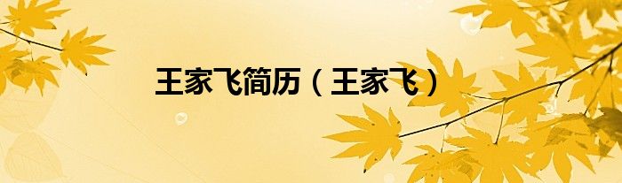 王家飞简历（王家飞）