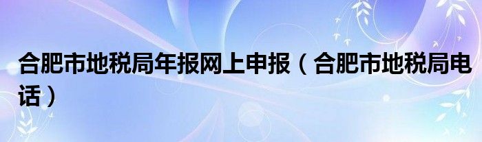 合肥市地税局年报网上申报（合肥市地税局电话）