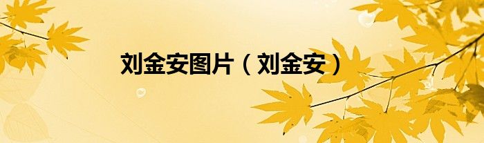 刘金安图片（刘金安）
