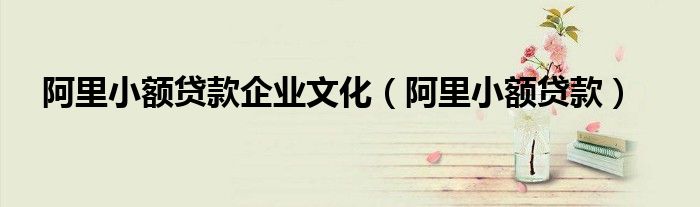 阿里小额贷款企业文化（阿里小额贷款）
