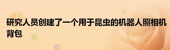 研究人员创建了一个用于昆虫的机器人照相机背包