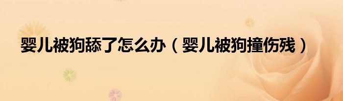 婴儿被狗舔了怎么办（婴儿被狗撞伤残）