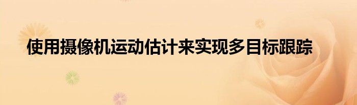 使用摄像机运动估计来实现多目标跟踪