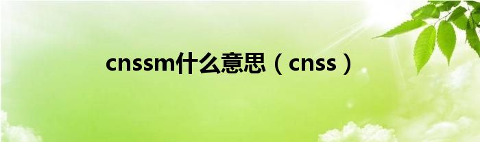 cnssm什么意思（cnss）