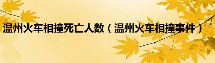 温州火车相撞死亡人数（温州火车相撞事件）