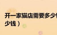 开一家猫店需要多少钱（开家猫店大概需要多少钱）