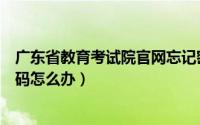 广东省教育考试院官网忘记密码（广东省教育考试院忘记密码怎么办）