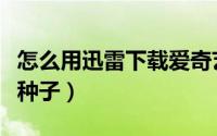 怎么用迅雷下载爱奇艺电影（怎么用迅雷下载种子）