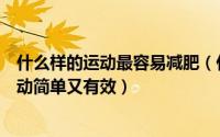 什么样的运动最容易减肥（什么运动适合懒人减肥这六种运动简单又有效）