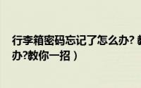 行李箱密码忘记了怎么办? 教你四招（行李箱忘了密码怎么办?教你一招）