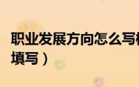 职业发展方向怎么写模板（职业发展方向怎么填写）