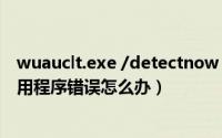 wuauclt.exe /detectnow（电脑系统提示wuauclt.exe应用程序错误怎么办）