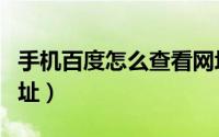 手机百度怎么查看网址（百度手机如何看到网址）