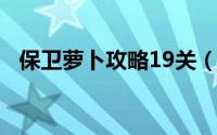 保卫萝卜攻略19关（保卫萝卜攻略挑战5）
