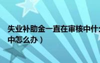 失业补助金一直在审核中什么原因（失业补助金一直在审核中怎么办）