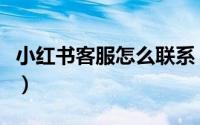 小红书客服怎么联系（小红书联系客服的方法）