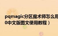 pqmagic分区魔术师怎么用（pqmagic(PQ分区魔术师)8.0中文版图文使用教程）
