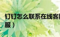 钉钉怎么联系在线客服（钉钉怎么联系在线客服）