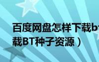 百度网盘怎样下载bt种子（百度网盘如何下载BT种子资源）