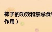柿子的功效和禁忌食物一览表（柿子的功效和作用）