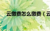 云缴费怎么缴费（云缴费怎么缴纳电费）
