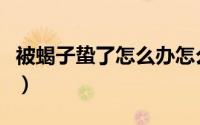被蝎子蛰了怎么办怎么治（被蝎子蛰了怎么办）
