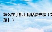 怎么在手机上用话费充值（如何在手机上充值话费 【图文并茂】）