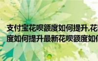 支付宝花呗额度如何提升,花呗怎么提升额度（支付宝花呗额度如何提升最新花呗额度如何提升）