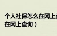 个人社保怎么在网上查询余额（个人社保怎么在网上查询）