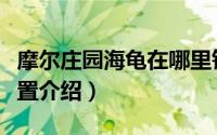 摩尔庄园海龟在哪里钓（摩尔庄园海龟垂钓位置介绍）