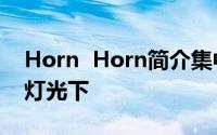 Horn  Horn简介集中在Sardenny灯塔：的灯光下