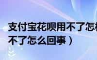 支付宝花呗用不了怎样才能用（支付宝花呗用不了怎么回事）