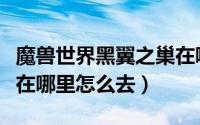 魔兽世界黑翼之巢在哪里（魔兽世界黑翼之巢在哪里怎么去）