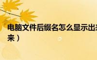 电脑文件后缀名怎么显示出来（电脑文件后缀名怎么显示出来）