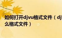 如何打开djvu格式文件（djvu格式文件怎么打开_djvu是什么格式文件）