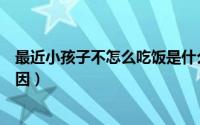 最近小孩子不怎么吃饭是什么原因（小孩不怎么吃饭什么原因）
