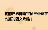 我的世界神奇宝贝三圣菇在哪抓?（口袋妖怪钻石三圣菇怎么抓的图文攻略）